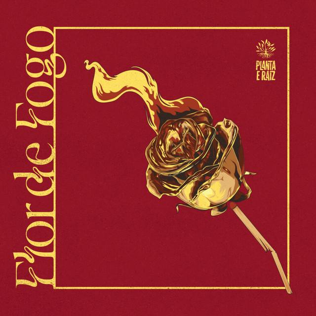 Planta e Raiz - Flor de Fogo
