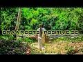 Positive-se